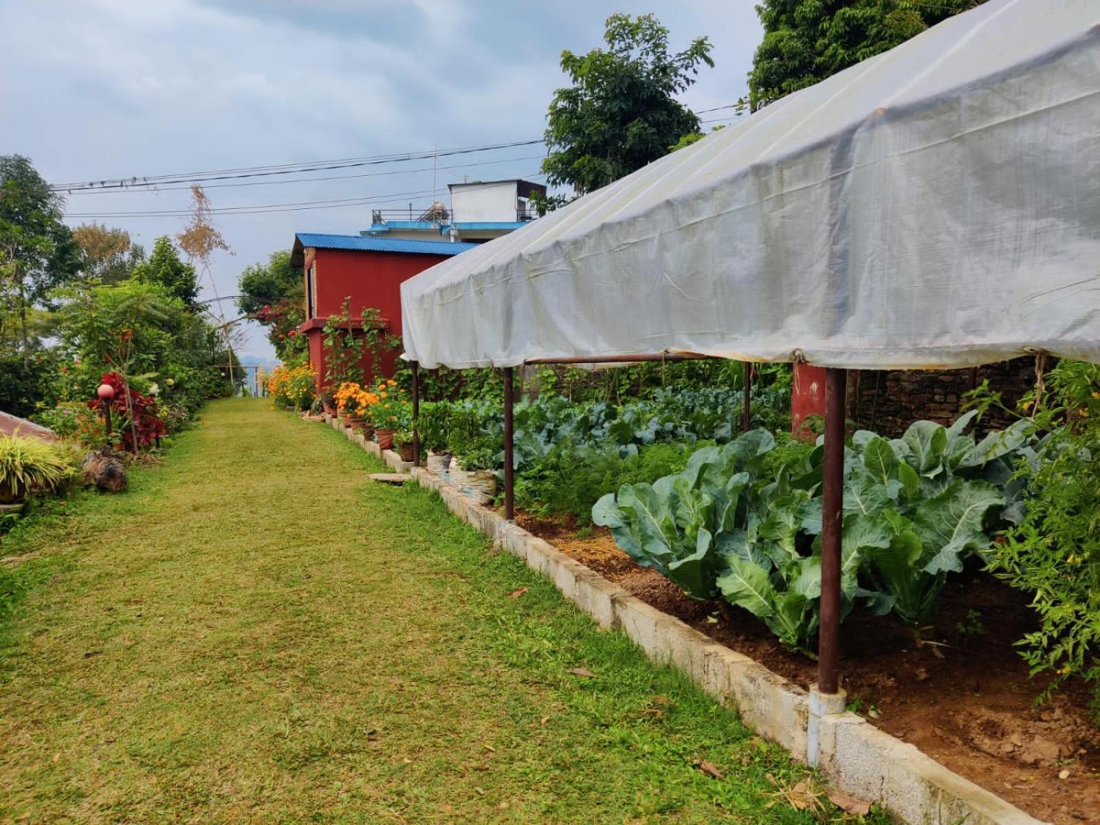Himalaya Serene View Guest House & Farm Stay Deorali Bagian luar foto