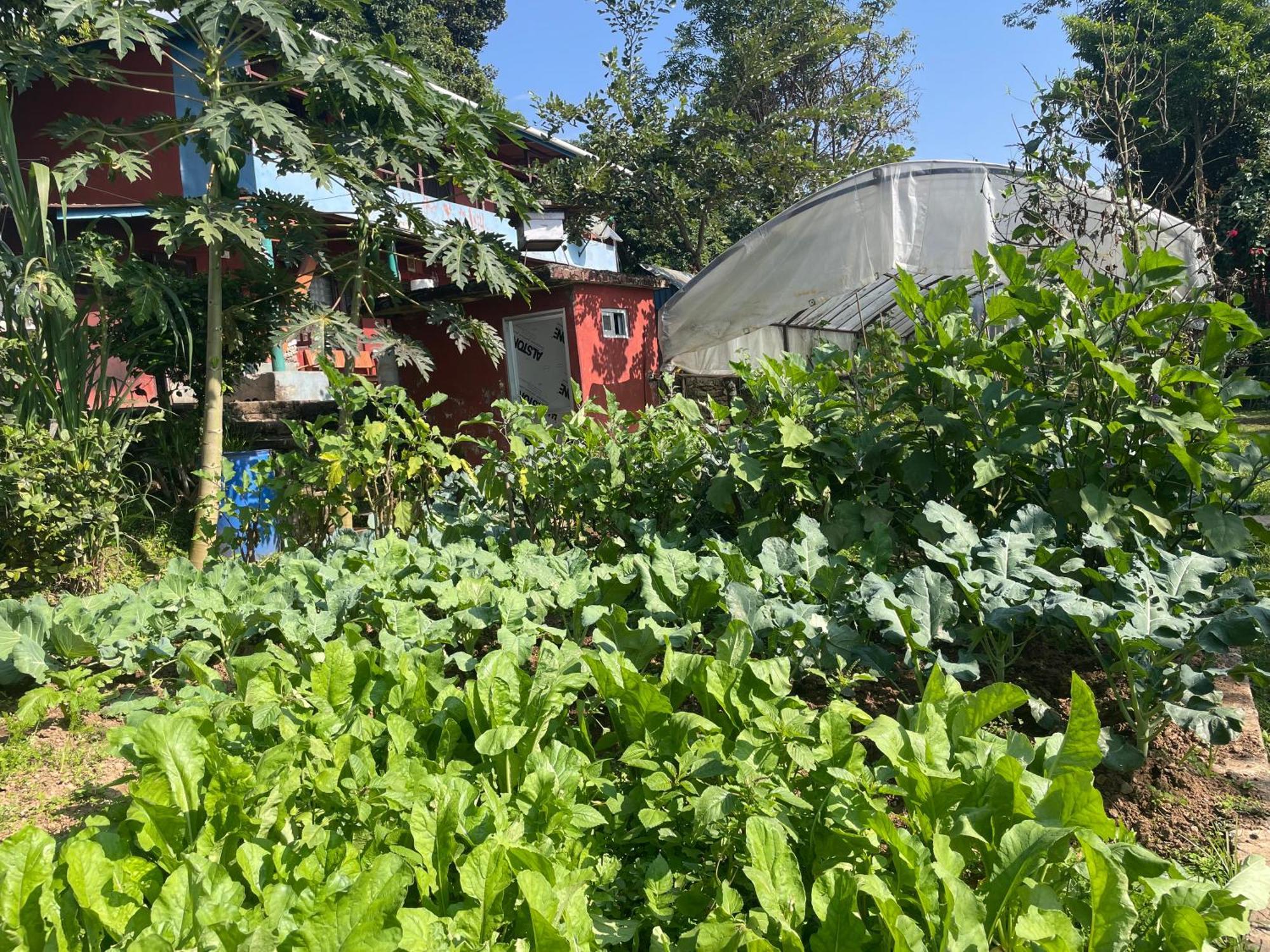Himalaya Serene View Guest House & Farm Stay Deorali Bagian luar foto