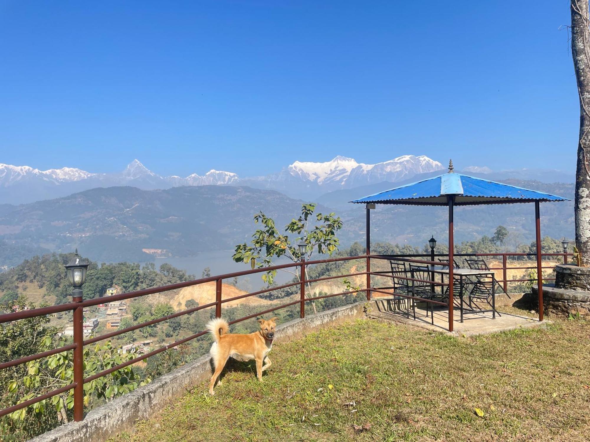 Himalaya Serene View Guest House & Farm Stay Deorali Bagian luar foto